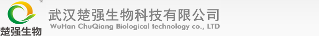 歡迎來到北京素玄科技有限公司，一個與眾不同，用戶體驗設計極佳，技術領先，業內口碑優良，專注于企業電子商務服務的互聯網公司。